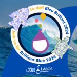 Logo of Brilliant Blue Partner Portal